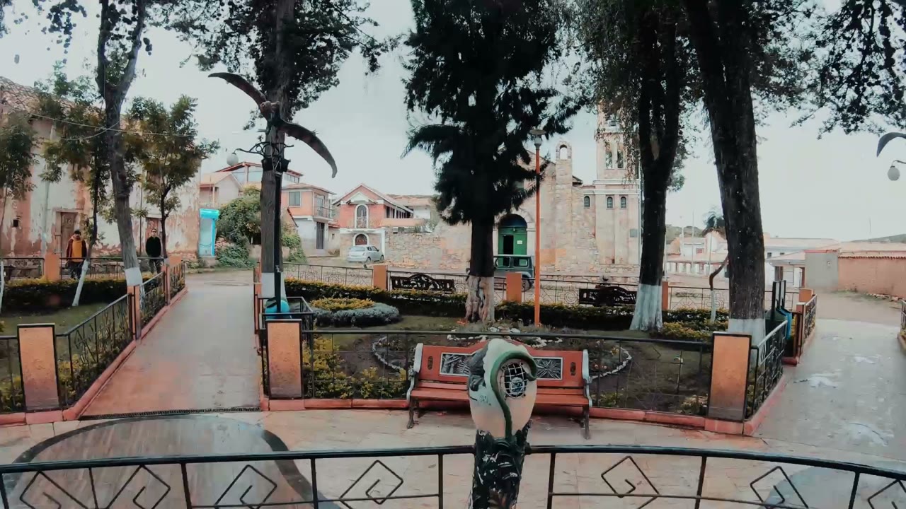 Suzuki Travel